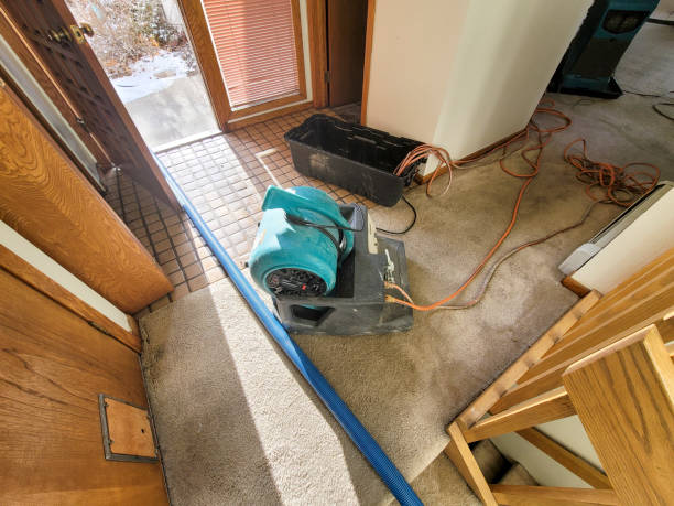 Best Water damage cleanup near me  in Hasley Nyon, CA